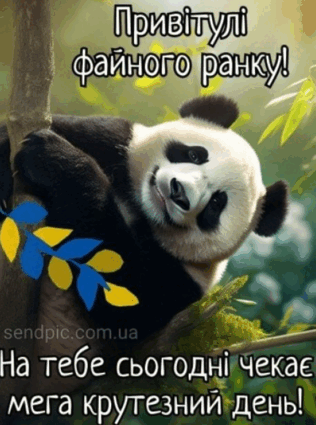 0800pj64-a8b4-316x425.png