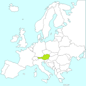 0800pjg0-7803-294x297.png