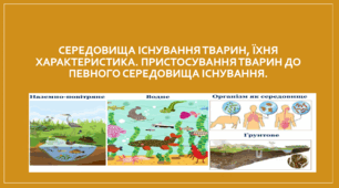 Презентація "Середовища існування тварин, їхня характеристика. Пристосування тварин до певного середовища існування."