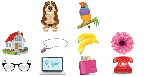 0800pmx3-6957-528x266.png