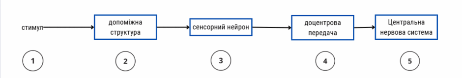 0800pmxy-751c-940x159.png