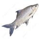 0800ppr5-ae3c-83x83.png