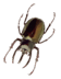 0800ppsc-756d-56x72.png