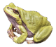 0800ppt1-a28e-80x67.png