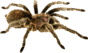0800ppu3-3402-88x53.png
