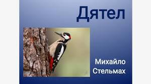 До твору "Дятел" Михайло Стельмах