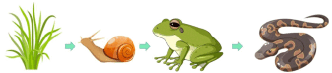 0800pse2-009d-940x207.png