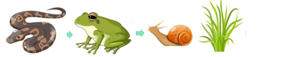 0800pse9-f718-940x189.png