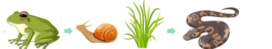 0800psef-66f0-940x172.png