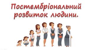 Постембріональний розвиток людини