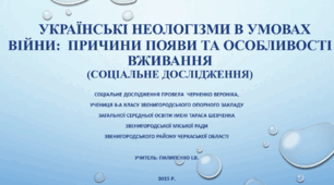 Українські неологізми в умовах війни:  причини появи та особливості вживання (соціальне дослідження)