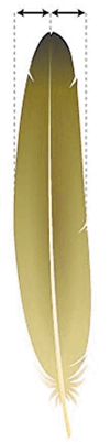 0800ptk5-b1ca-101x401.png