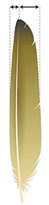 0800ptk9-3d74-97x400.png