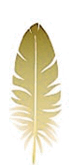 0800ptkb-93a6-72x165.png