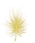 0800ptki-ae38-73x88.png