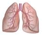 0800ptom-5967-86x72.png