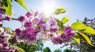 Пісня " Весна у серці. Весна у душі"