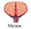 0800pvbv-1b78-175x167.png