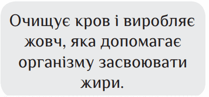 0800pve4-bb65-409x190.png