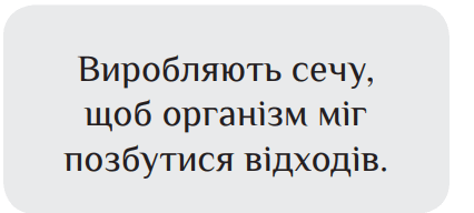 0800pves-6d83-426x192.png