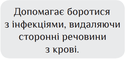 0800pvf3-da16-406x191.png