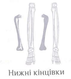 0800pvqw-f044-238x263.png