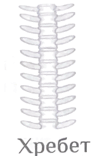 0800pvr6-0423-132x220.png