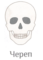0800pvs0-7c7c-148x204.png