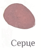 0800pvs6-99b4-136x164.png