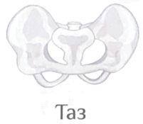 0800pvsp-9d02-201x175.png