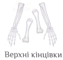 0800pvtr-3edf-202x193.png