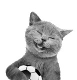0800px9o-7561-155x160.png