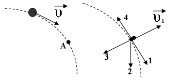 0800qalx-81bc-371x174.png