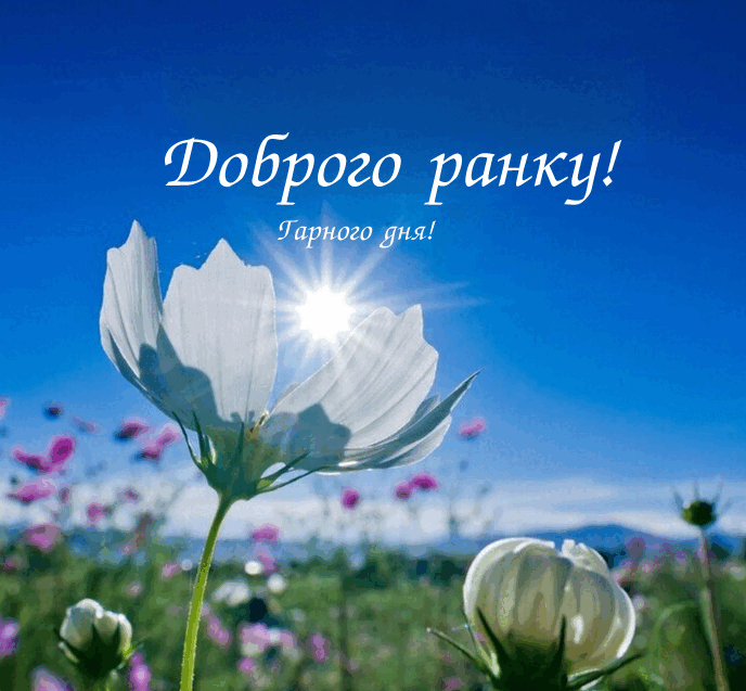 0800qbc2-74a0-688x637.png