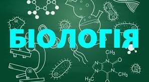 Практична робота № 37. Дослідження будови пір’я..