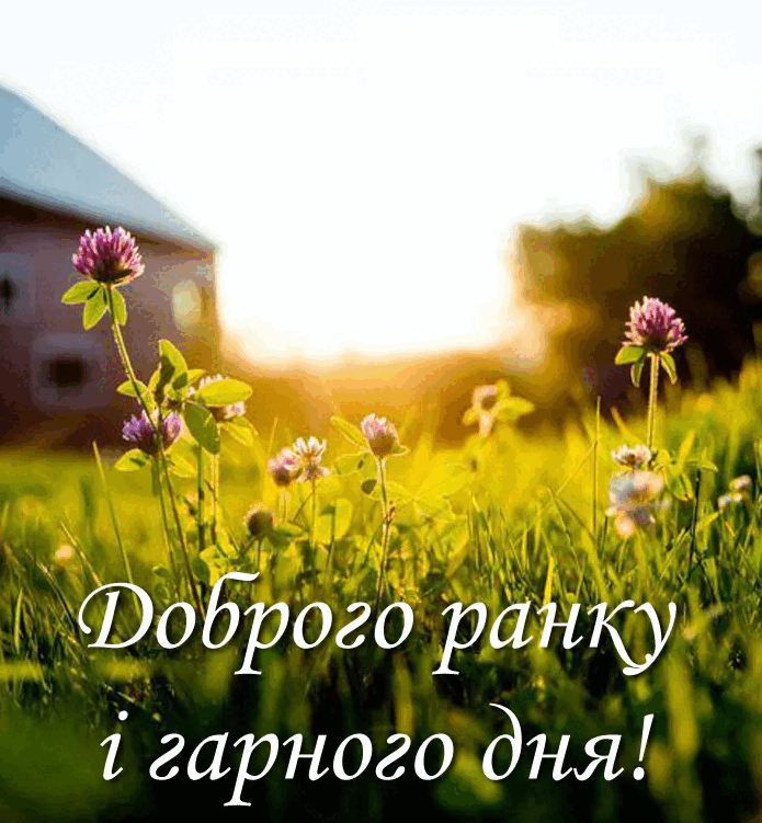 0800qbrc-ece2-695x751.png