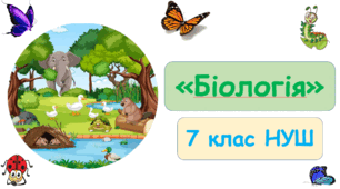 Шапинкові гриби. Їстівні і отруйні гриби.