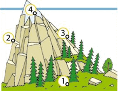 0800qfhn-ab2e-417x320.png