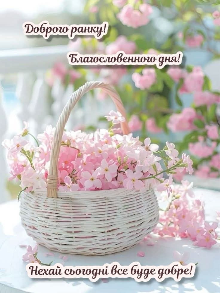 0800qgj9-2cfc-736x981.jpg