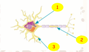 0800qmh6-1c7f-301x177.png