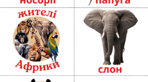 Картки Домана (тварини)