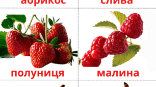 Картки Домана (овочі, фрукти та ягоди)