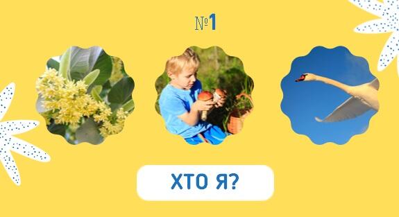0800qq0b-54ca-575x313.jpg