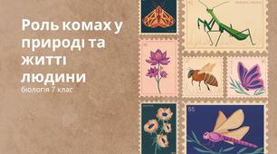 Конспект уроку "Роль комах у природі та житті людини"