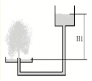 0800qsgv-36c5-186x164.png
