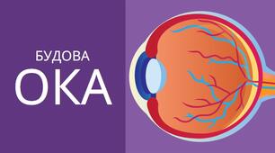 Презентація "Будова ока"