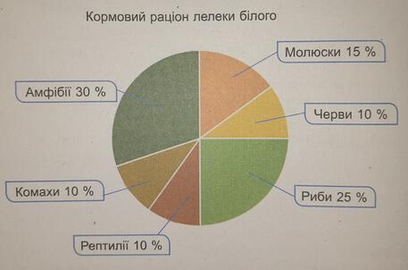 0800qup4-fe55-457x302.jpg