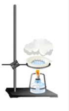 0800qyef-11d7-173x276.png