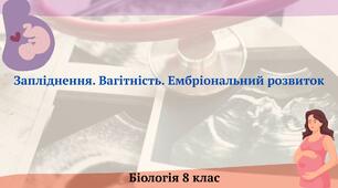 Запліднення. Вагітність. Ембріональний розвиток