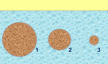 0800qz4b-f8a5-216x128.png